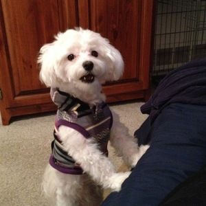 Meet your Posher, Colette